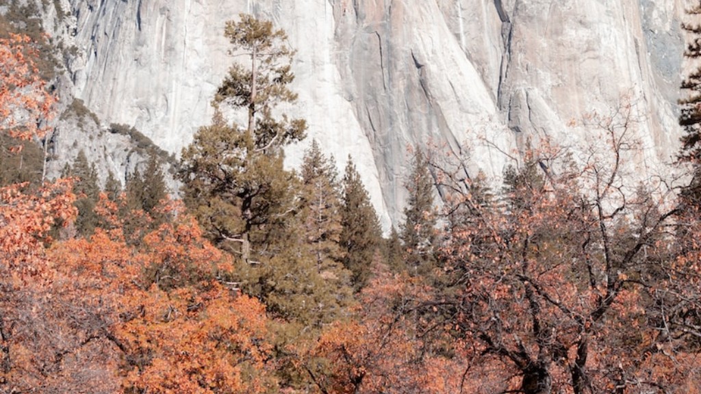 Cine a descoperit Yosemite