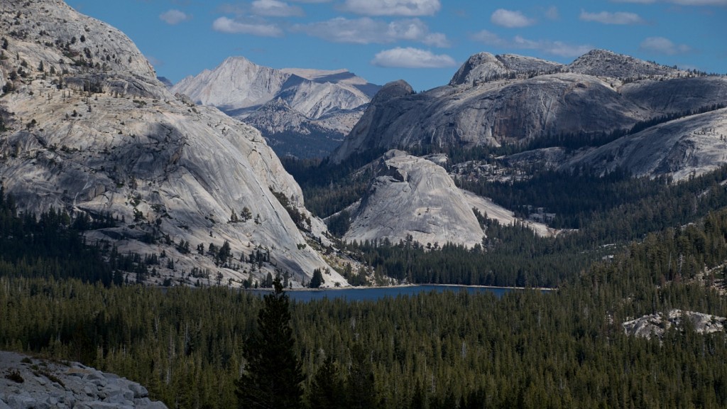 Ce activități puteți face în Parcul Național Yosemite