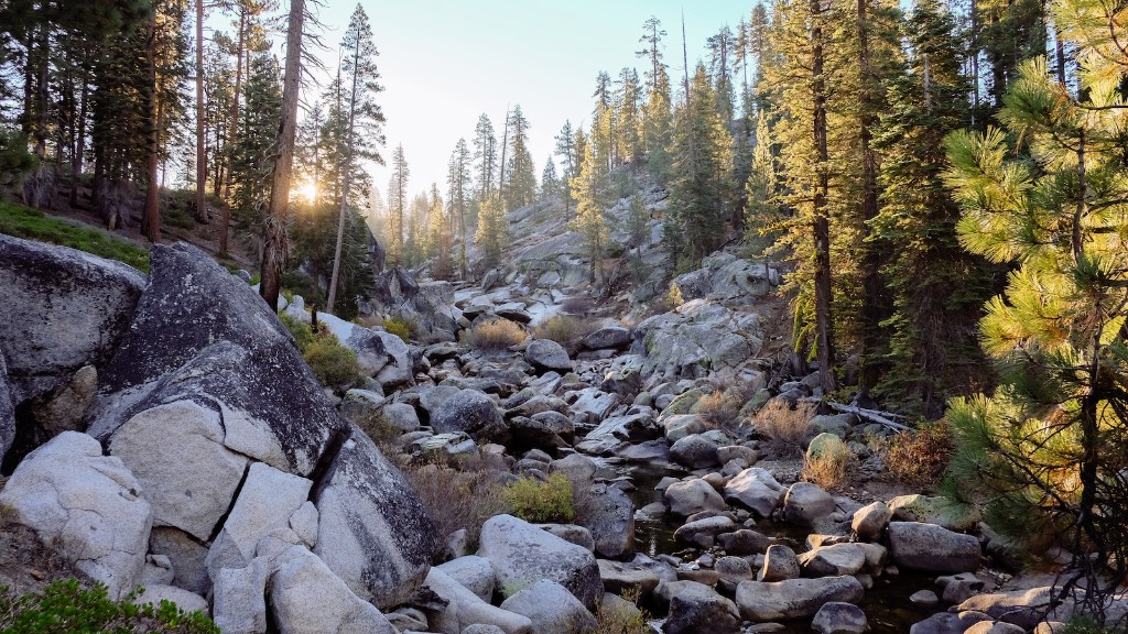 Ce activități puteți face în Parcul Național Yosemite