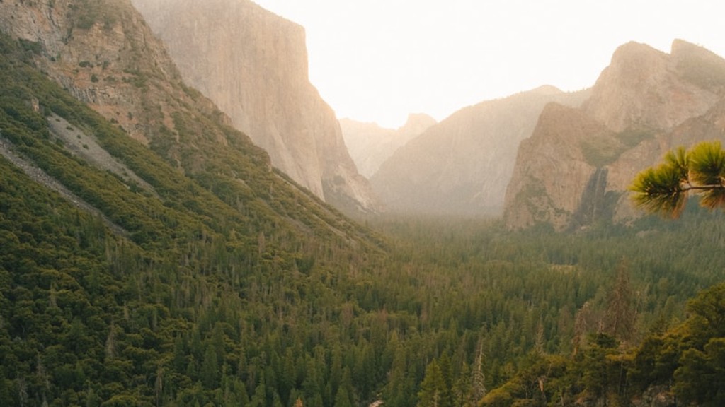 O poză cu Yosemite Sam