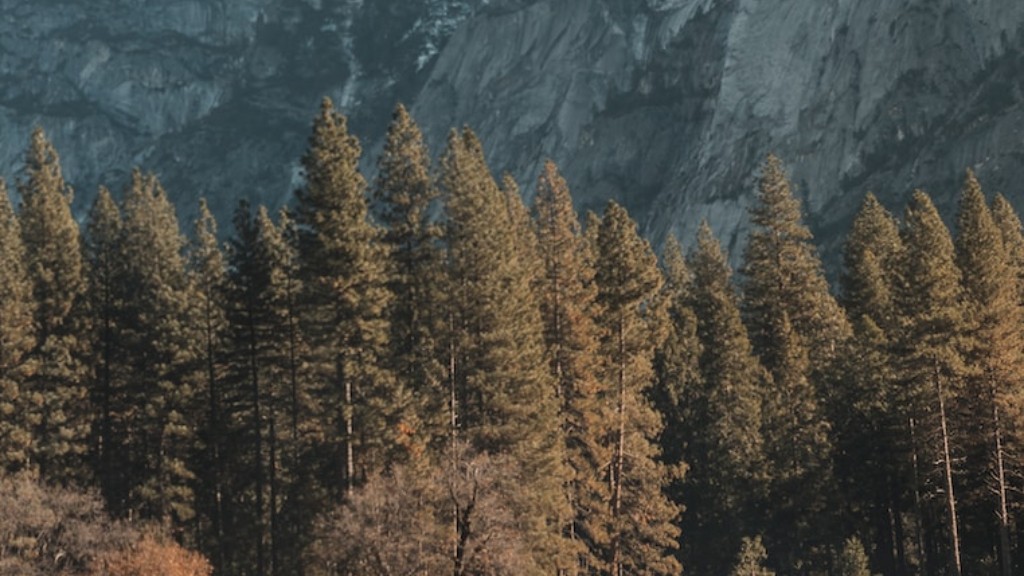Puteți să rucsac în Yosemite